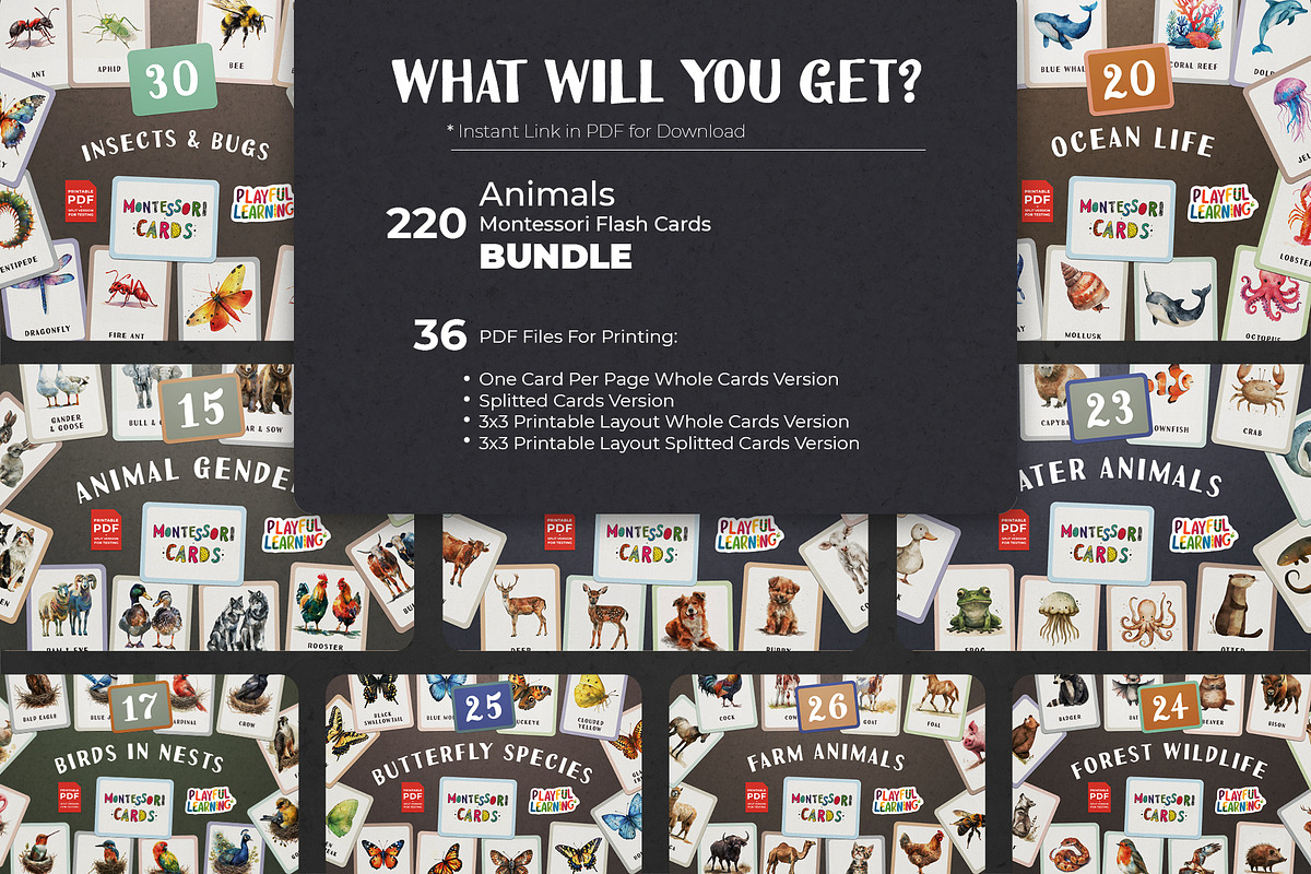 Animals Montessori Cards Bundle, an Education Illustration by Pix Cafe (Photo 2 of 12)