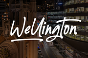 Silver Gowther Marker Font, a Script Font by Ainun Jinan (Thumbnail 8 of 11)