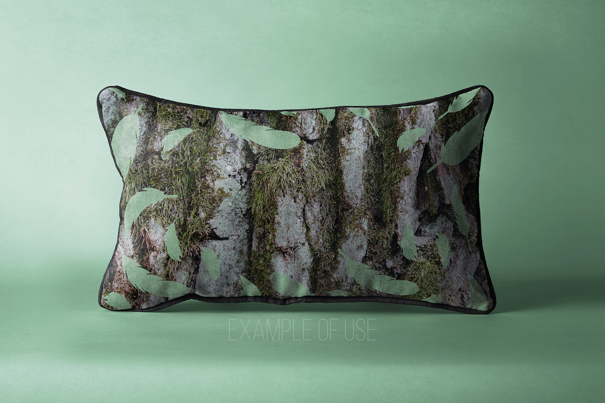 Woody Bark Textures, a Texture Graphic by Norse Moss (Photo 8 of 8)