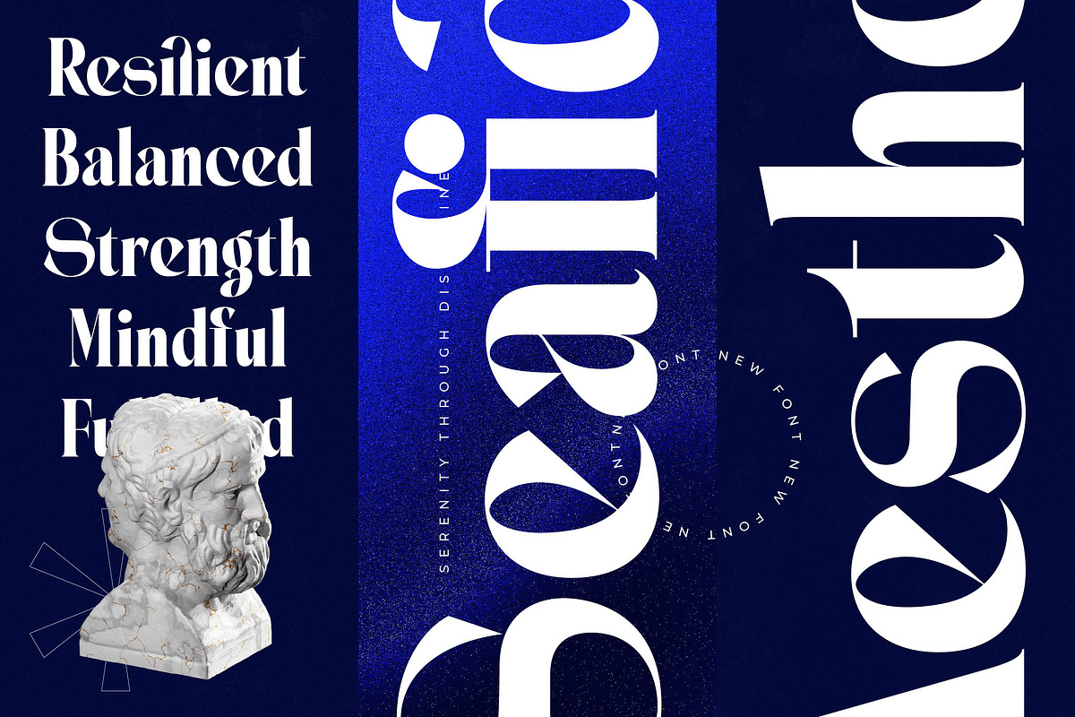 Seafibe Modern Serif Display, a Serif Font by timelesstype.co (Photo 8 of 20)