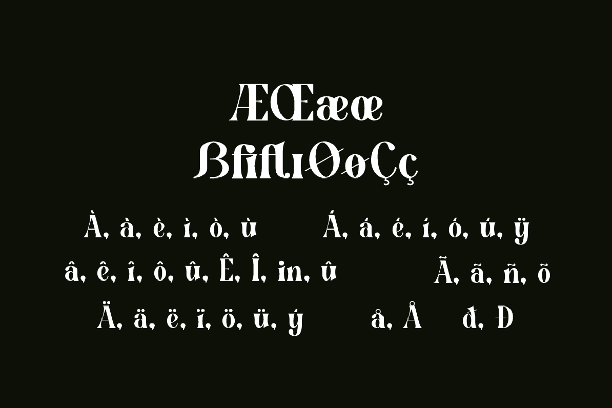 Arkity Qillgar Feminine Elegant Font, a Serif Font by Iqsiart Studio (Photo 7 of 13)