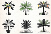 Watercolor Tropical Palm Trees, an Illustration by DreamCafeArt (Thumbnail 8 of 8)