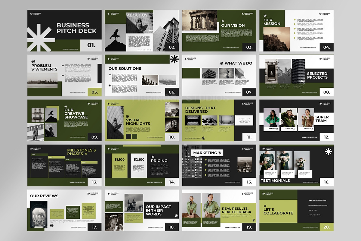 BlackBird - Business Pitch Deck preview 7