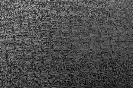 Black crocodile leather texture stock photo containing crocodile and leather, an Abstract Photo by Eugene_Photo