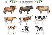 FARM ANIMALS Encyclopedia, an Animal Illustration by Anastezia Luneva (Thumbnail 3 of 14)