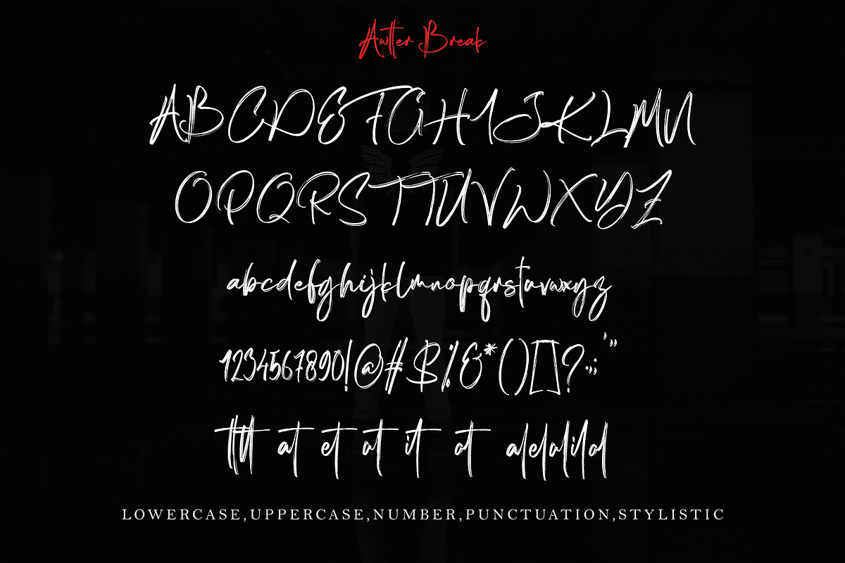 Awtter Break, a Script Font by pineungtype (Photo 8 of 8)