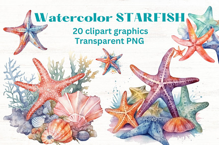 Watercolor Starfish clipart x20