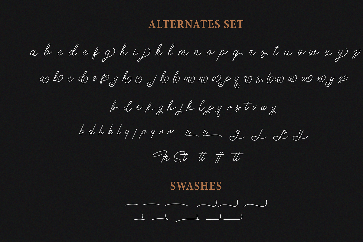Houstoner Script + EXTRAS! (40%OFF), a Script Font by Martype (Photo 11 of 14)