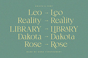 Krista's - Display Serif, a Serif Font by Dora Typefoundry (Thumbnail 18 of 23)
