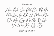 Gustatory Delight - a Signature Font, a Script Font by Ali Hamidi (Thumbnail 8 of 9)