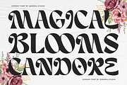 Doremy - Display Serif, a Serif Font by Qweera Studio (Thumbnail 7 of 10)