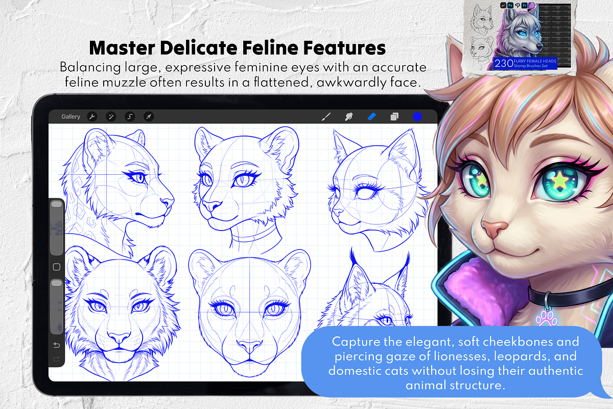 Furry Base Procreate Stamps, a Brush Add-On by Selentaori Studio (Photo 10 of 17)