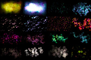 50 Overlays Glow and Bokeh, a Background Graphic by Studio Angel Arts (Thumbnail 7 of 9)