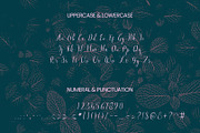 Morcote - Script Handwritten Font, a Handwritten Font by ArtiXLabs (Thumbnail 10 of 11)