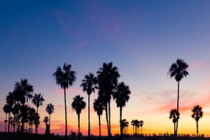 Sunset in venice beach stock photo containing venice beach and california