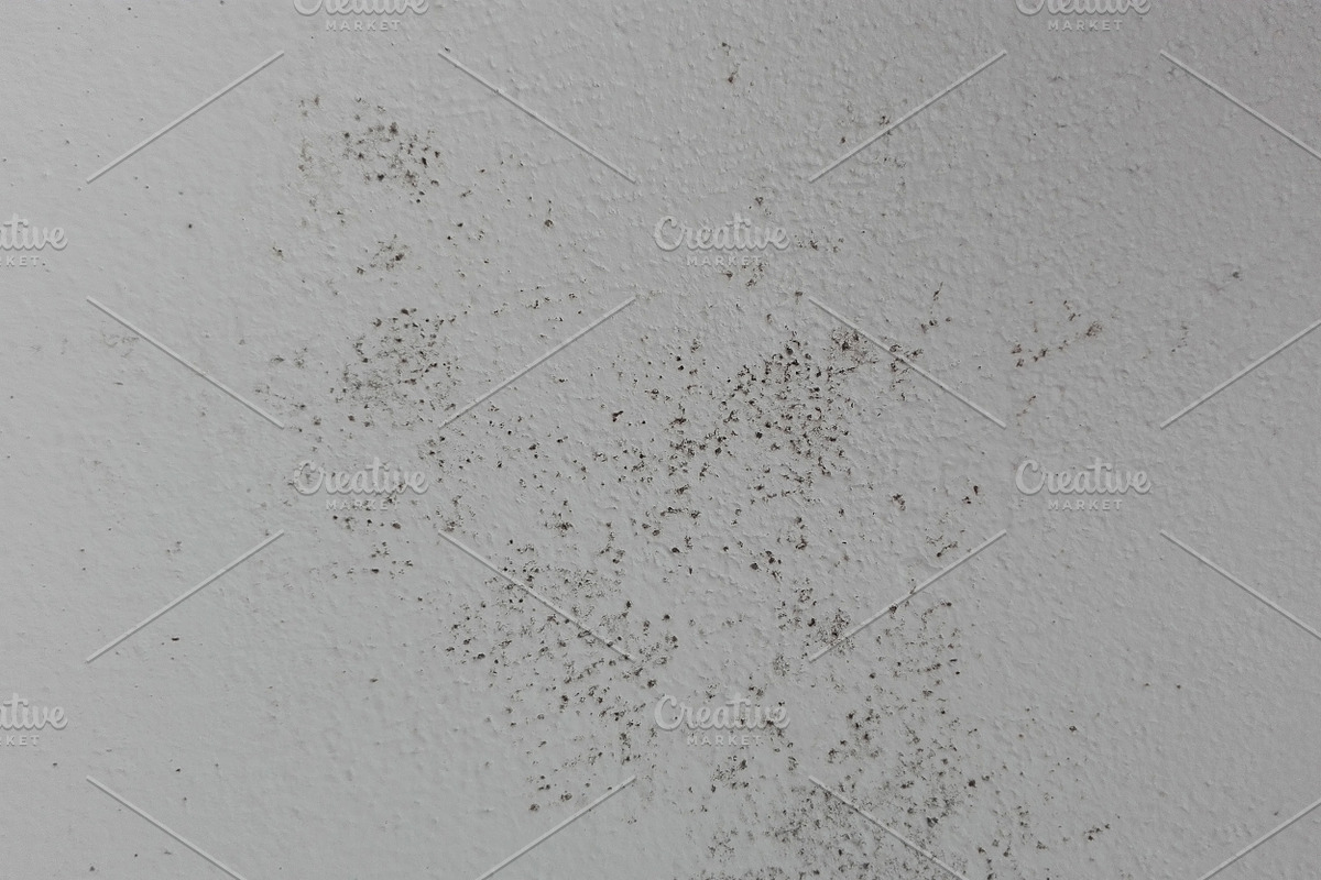 Mold Wall Texture Pack, a Texture Graphic by The_DrX (Photo 9 of 13)