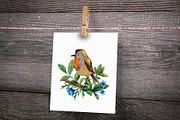 Forest Birds - Gouache Clipart Set, an Animal Illustration by Mashamashastu (Thumbnail 7 of 11)