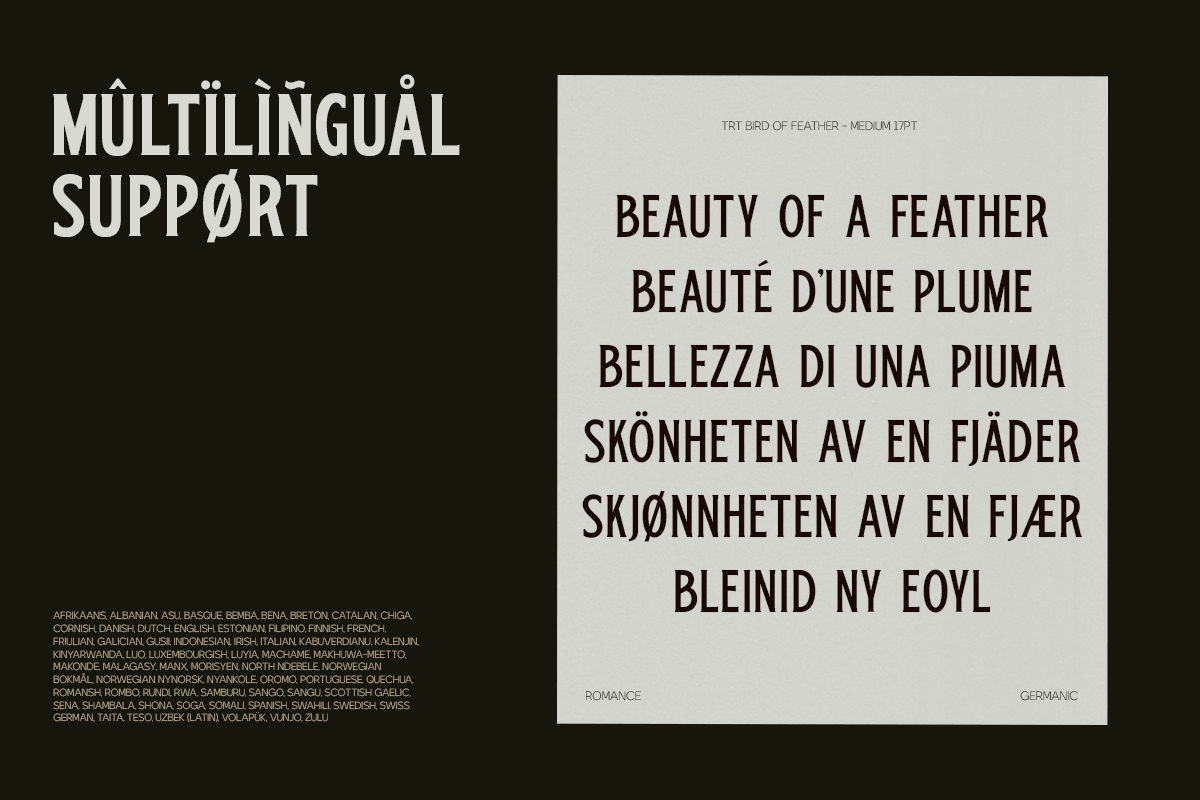 TRT Bird of Feather – Elegant Serif, a Font by truetype (Photo 15 of 15)