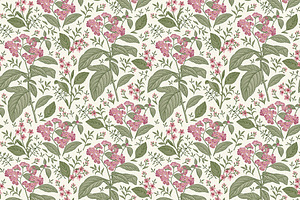 Seamless Flowers Heliotrope Pattern