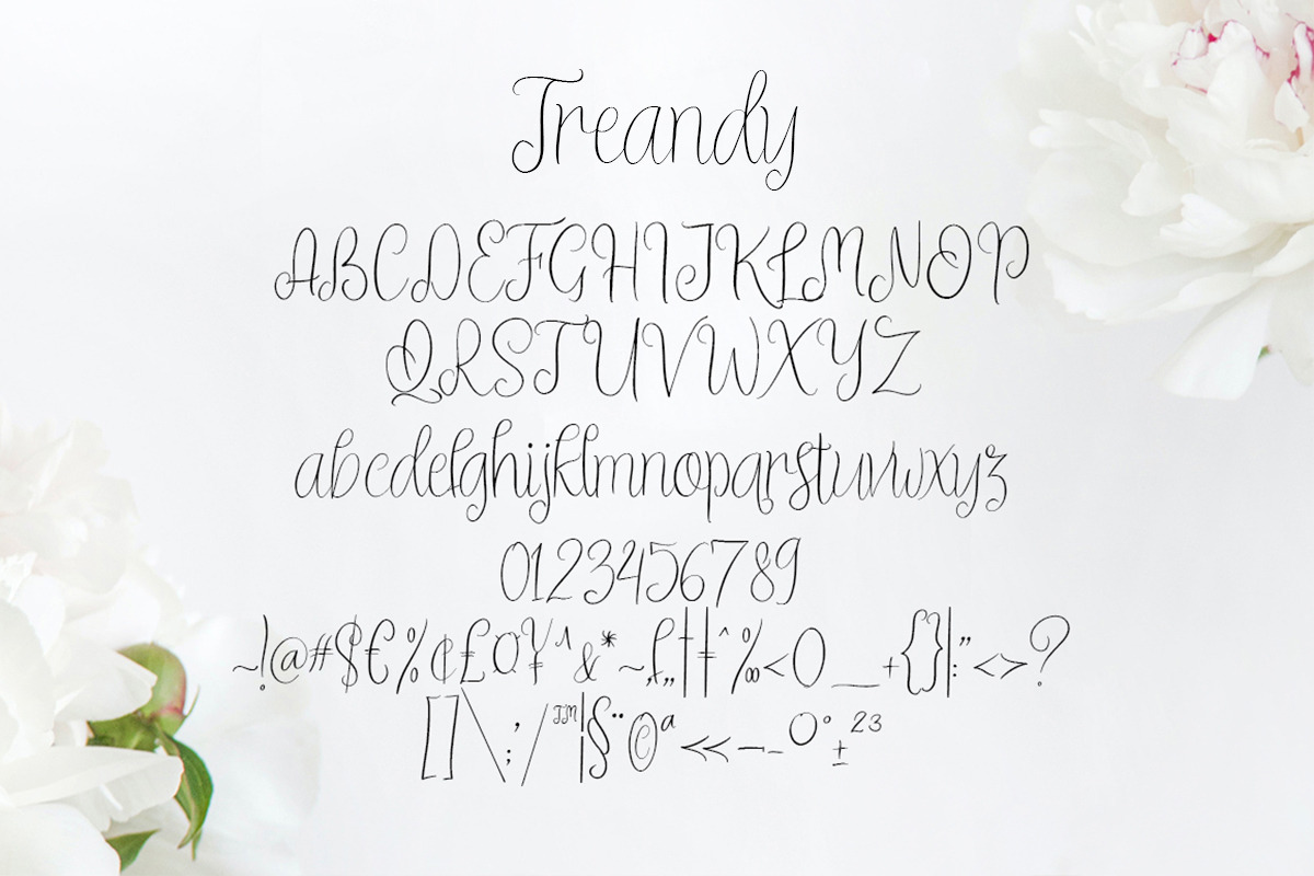 Treandy, a Script Font by Artic Type (Photo 7 of 9)