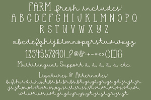 Farm Fresh, Cute Farmhouse Font