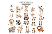 Noah’s Ark Watercolor Clipart Bundle, an Illustration by CharmClipArt (Thumbnail 4 of 8)