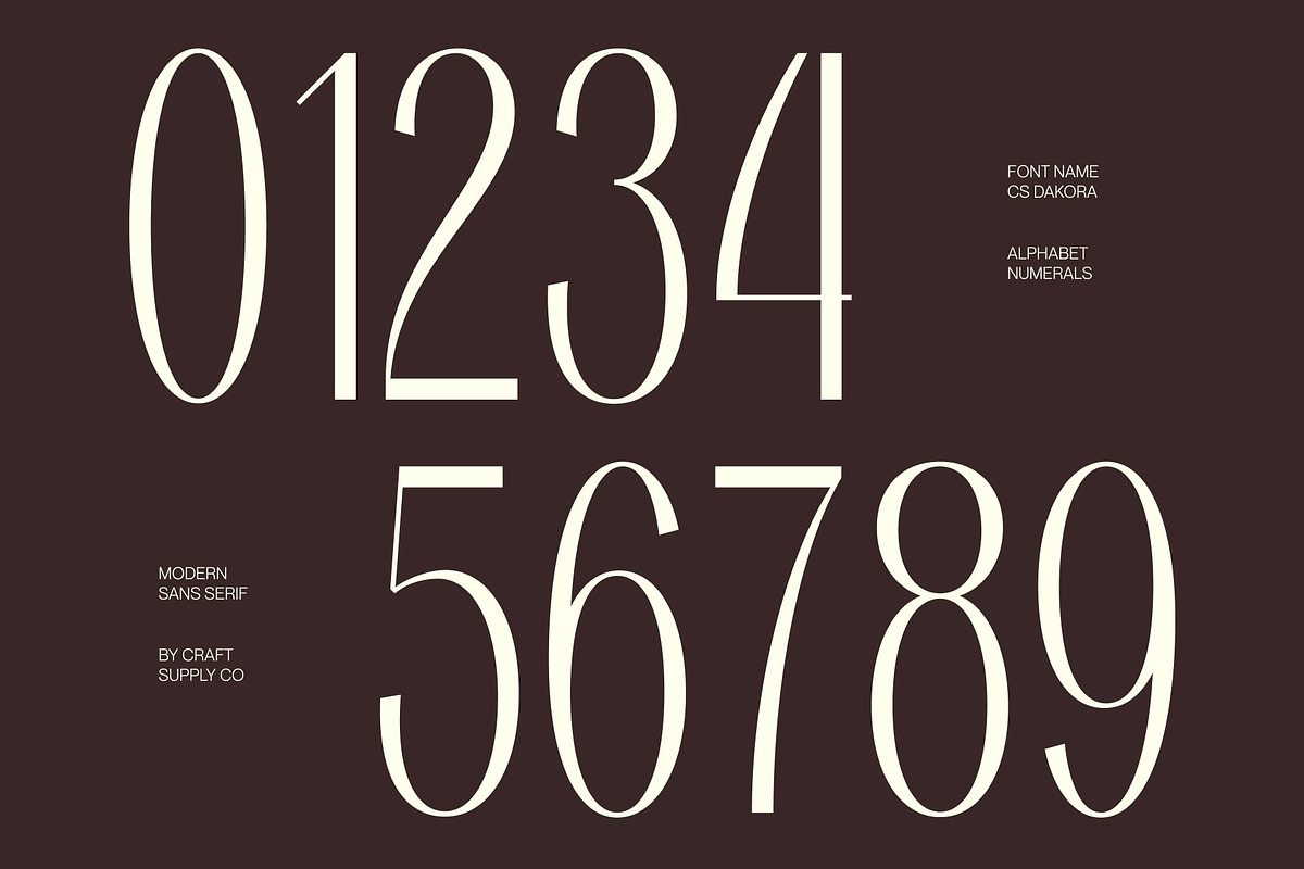 CS Dakora – Elegant Sans Serif, a Sans Serif Font by Craft Supply Co. (Photo 4 of 8)