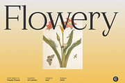 CS Calistha – Elegant Serif Font, a Serif Font by Craft Supply Co. (Thumbnail 6 of 8)