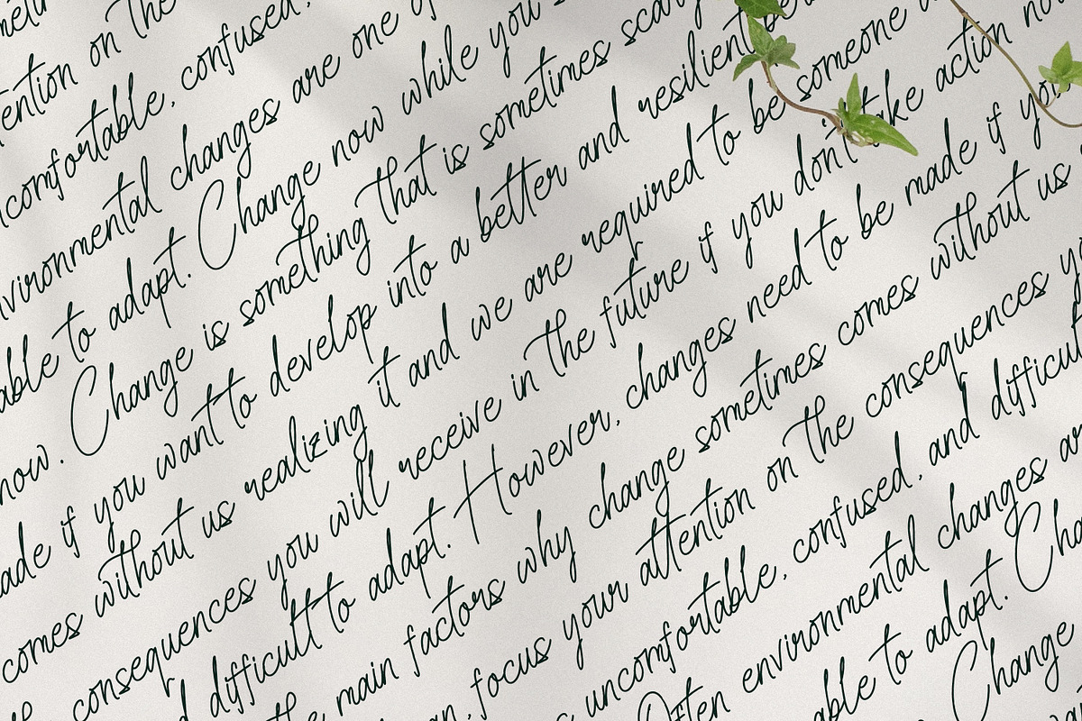 Senofeetha, a Script Font by Integritype Studio (Photo 13 of 15)
