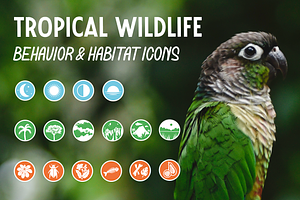 Tropical Wildlife Icons, an Icon by Emma Jacquelyn Design