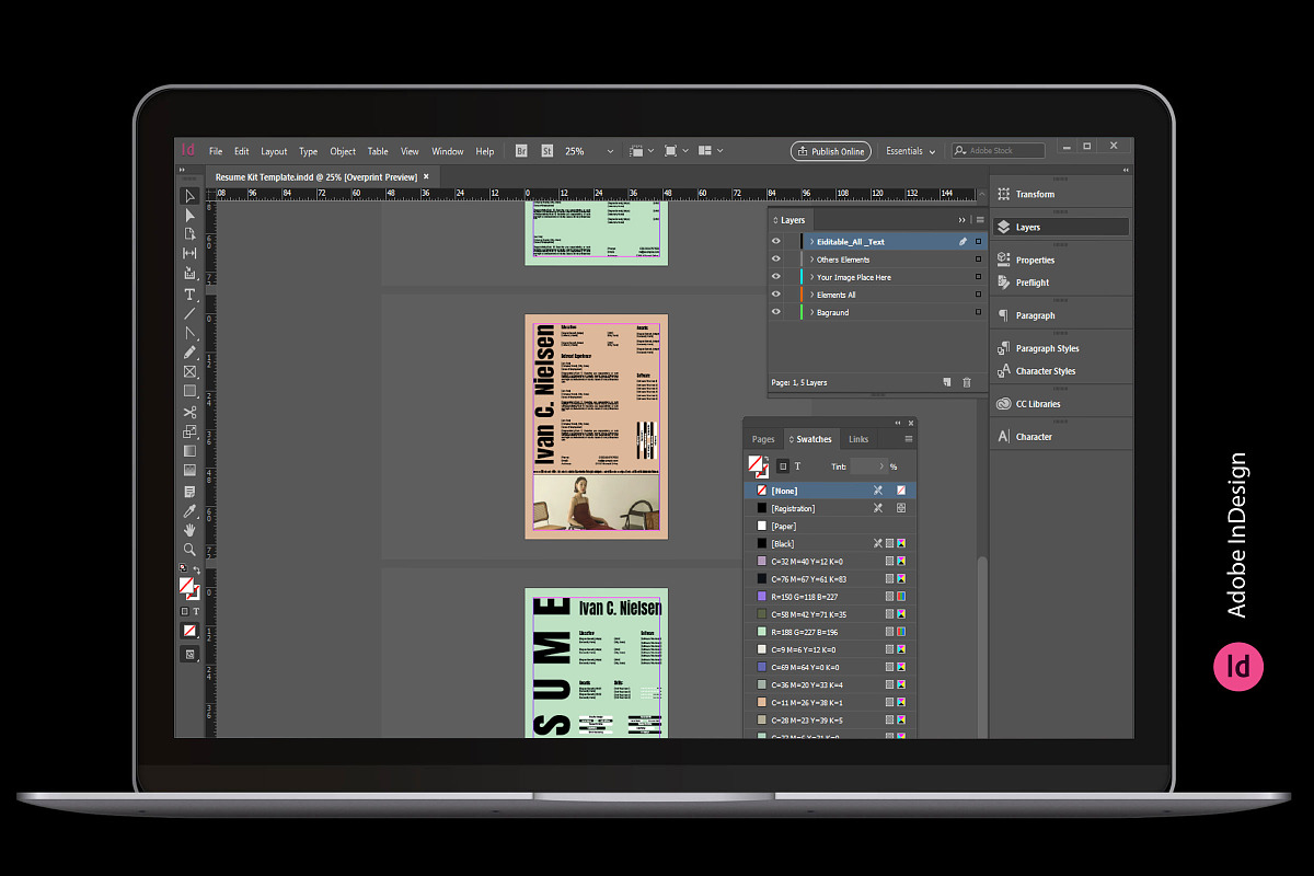 Niclsen | Resume Kit, a Resume Template by Studio Industry (Photo 6 of 10)