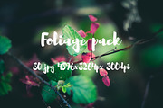 Foliage pack, a Templates & Theme by ApertureVintage (Thumbnail 4 of 21)