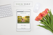 Styled Desktop Mockup Bundle, a Cups & Container Mockup by Square Balloon (Thumbnail 8 of 14)