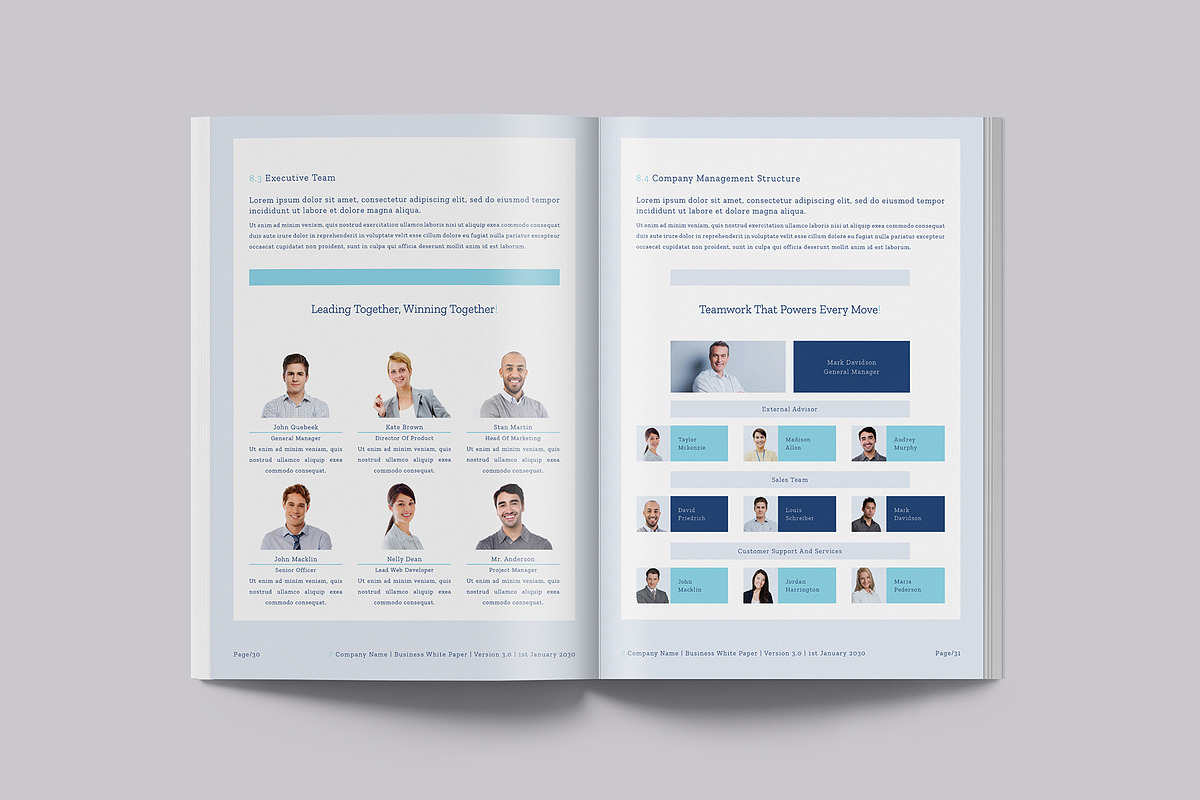 Business White Paper Report Template, a Brochure Template by Designsoul14 (Photo 13 of 15)
