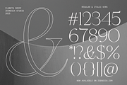 Fluneta, a Serif Font by zeenesia (Thumbnail 21 of 21)