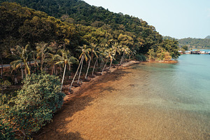 Coconut trees on the beach on the island, a Nature Photo by Art Rachen