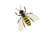 Bee and Sunflower Set., a Decorative Illustration by Svetlana Avv (Thumbnail 3 of 4)