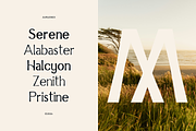 Aurlionex - Display Sans Family, a Sans Serif Font by Indotype Foundry (Thumbnail 6 of 10)