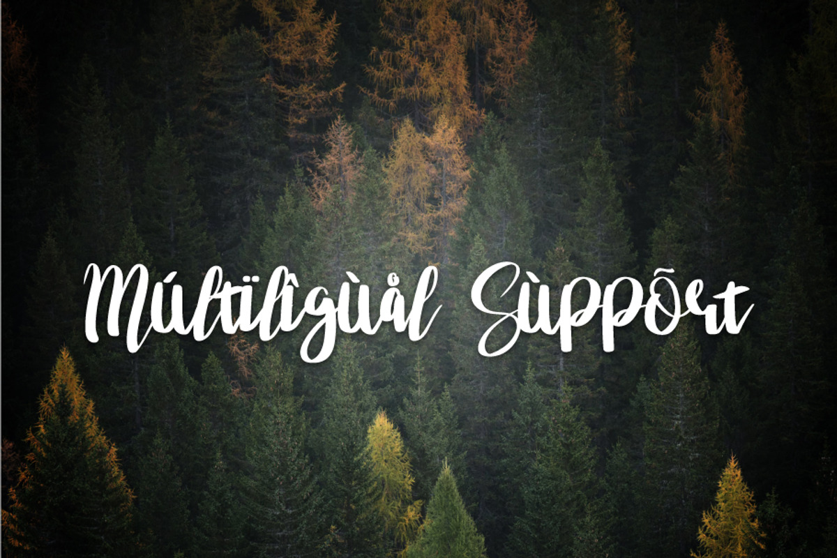 asgiho, a Script Font by khalwa.studio (Photo 6 of 9)