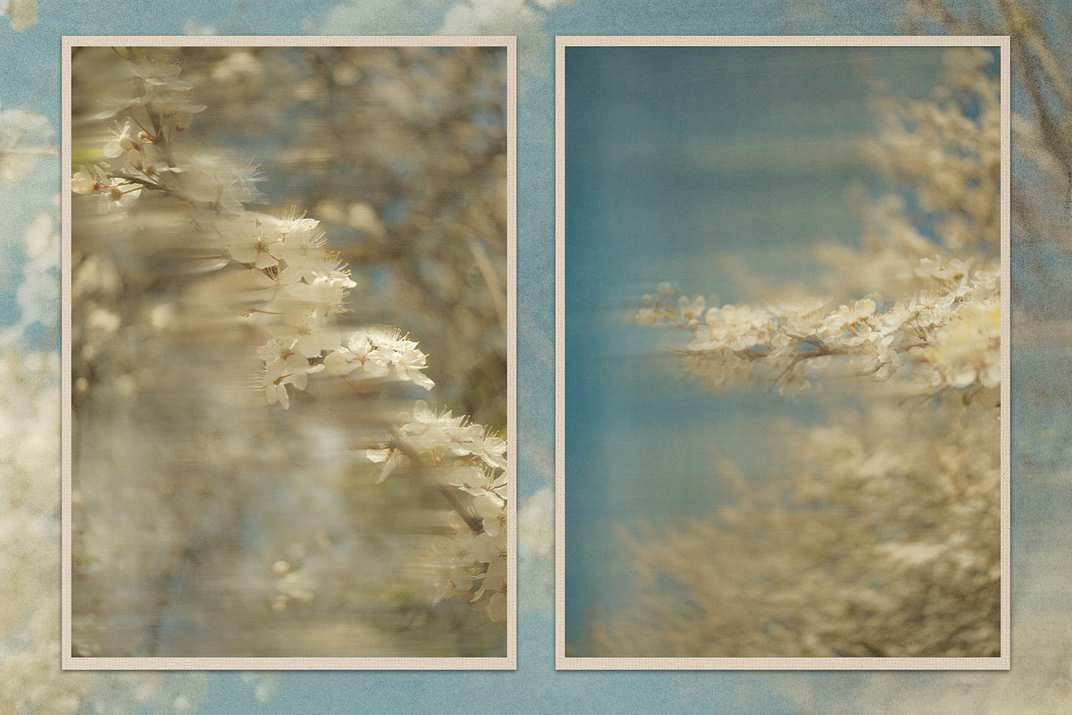 Plum Blossom Floral Backgrounds, a Background Graphic by lerinartstudio (Photo 7 of 11)