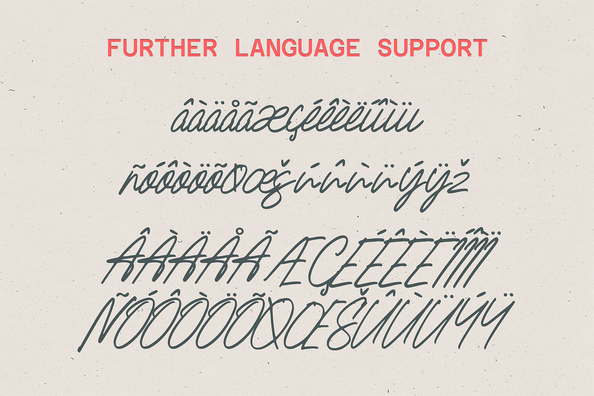 Onomali script font, a Script Font by zansari foundry (Photo 3 of 6)