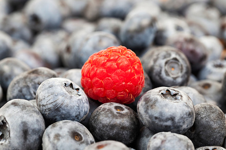 fresh ripe blueberries with vitamins, a Photo by MyPhotos