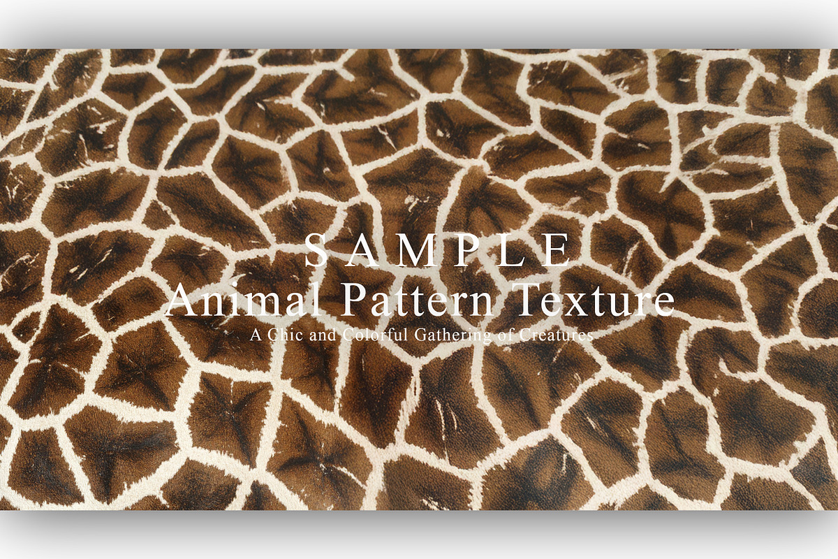 24 Animal Pattern Texture, a Background Graphic by NOMO DESIGN (Photo 21 of 24)