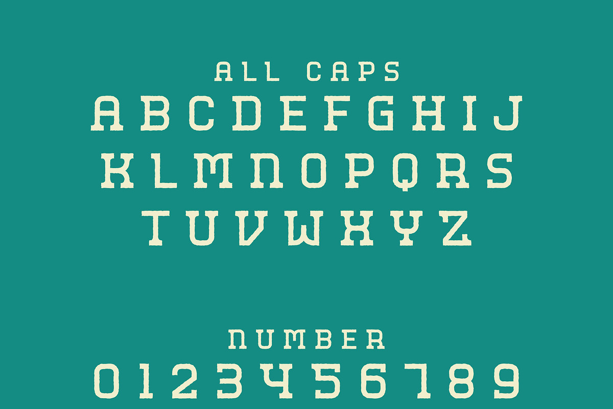 Mihrip Rough, a Sans Serif Font by lelevien (Photo 5 of 5)