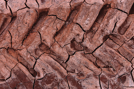 Tractor wheel tracks on dry and crac, a Background Photo by Perpis