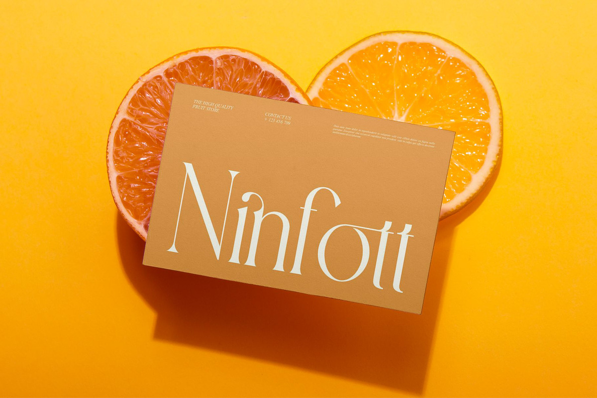 Baiston || Modern Classy Serif Font, a Serif Font by Ermedia Studio (Photo 8 of 10)