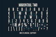 Marienthal Font Bundle + Extras!, a Script Font by DittonSupplyCo (Thumbnail 5 of 8)