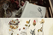 Endless summer. Watercolor set, an Illustration by Scarlet Heath Art (Thumbnail 3 of 18)