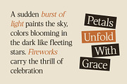 CS Majora – Contemporary Font, a Serif Font by Craft Supply Co. (Thumbnail 2 of 8)