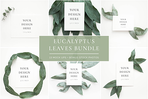 The Eucalyptus Leaves Bundle